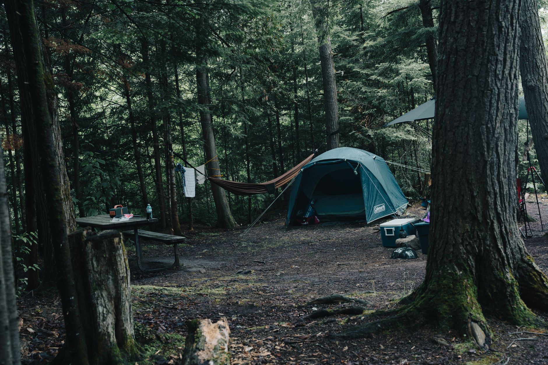 ENO DoubleNest Hammock — Hammocks review photo