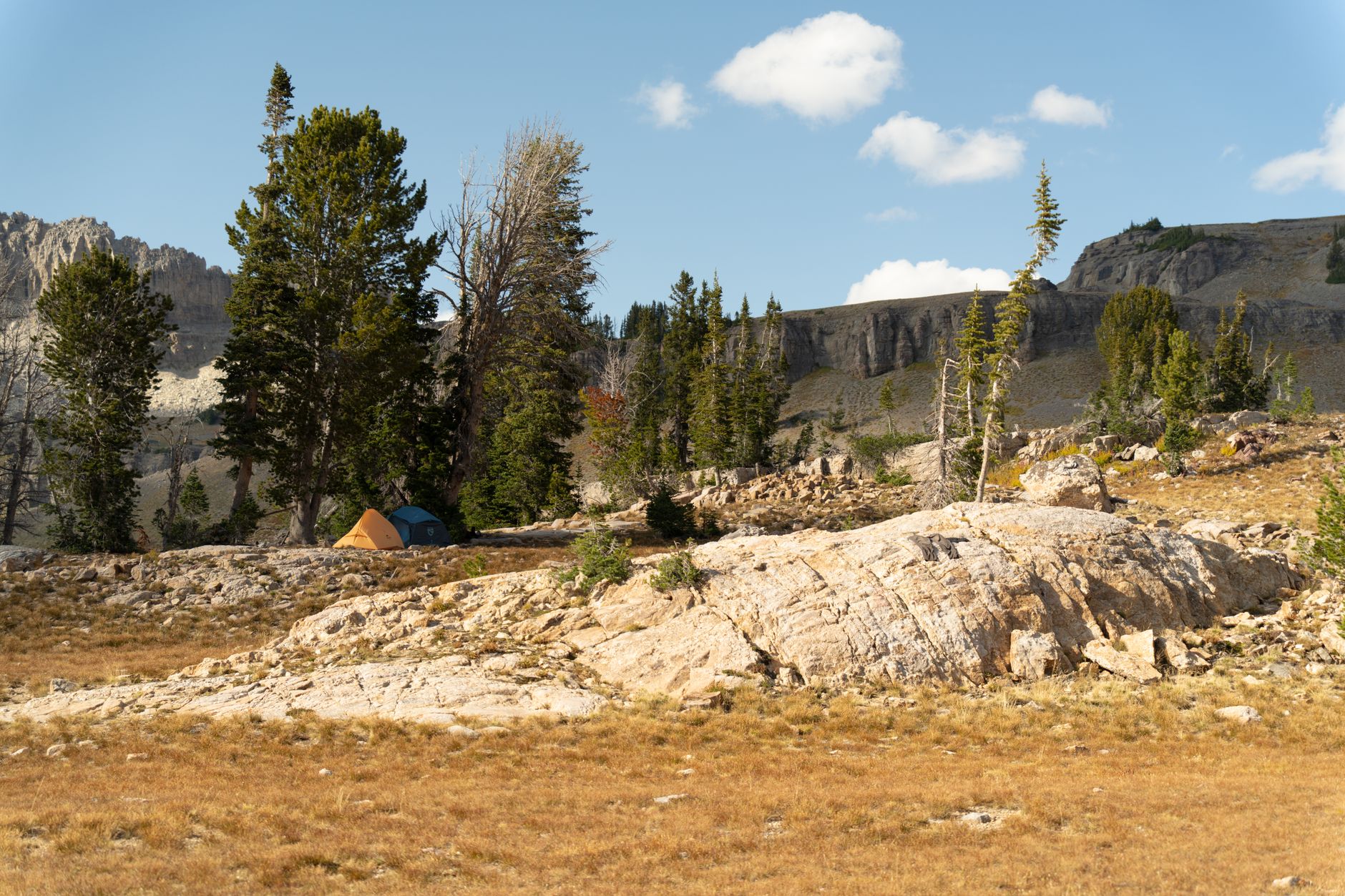 NEMO Dagger OSMO 2P Tent — Tents review photo