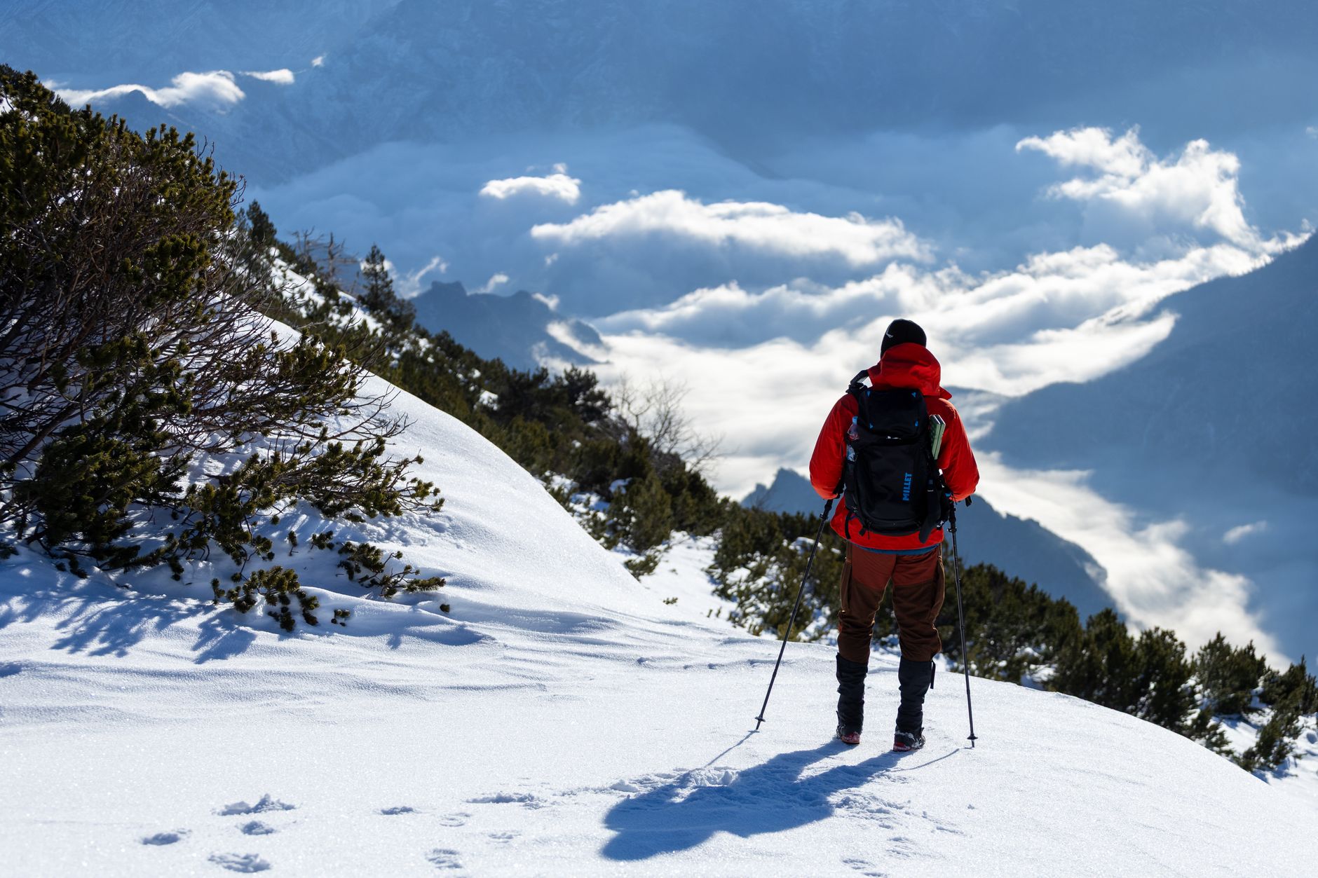 LEKI Makalu Lite Carbon Poles — Trekking Poles review photo